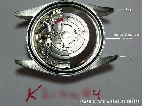 rolex replica ricambi|rolex serial number checker.